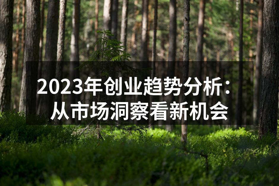 2023年创业趋势分析：从市场洞察看新机会
